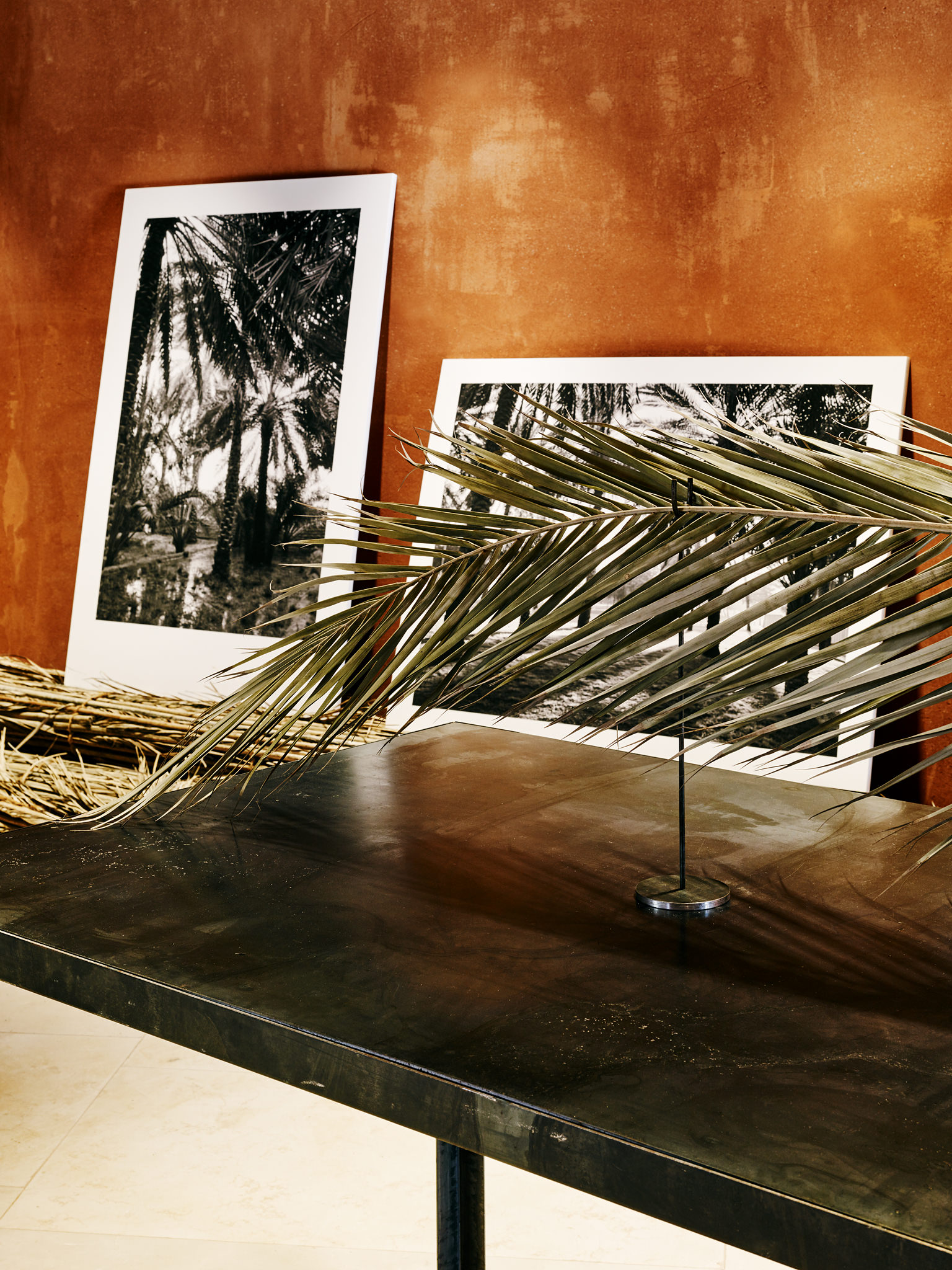 E15547 Alpa 050395 SCREEN